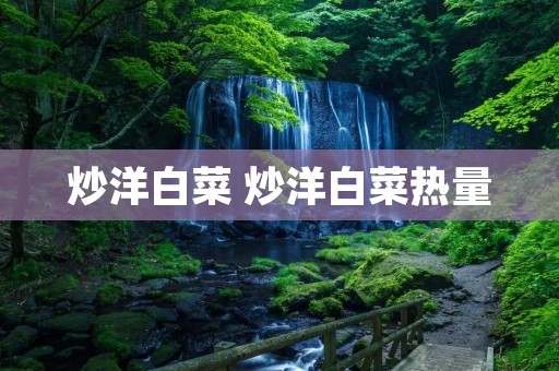 炒洋白菜 炒洋白菜热量