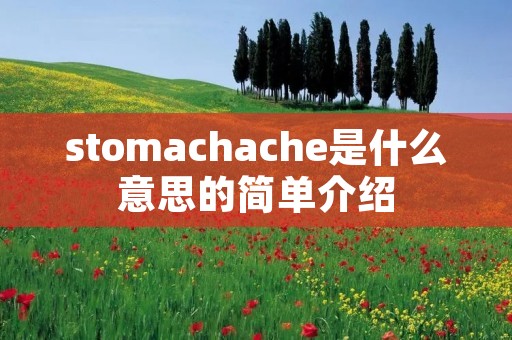 stomachache是什么意思的简单介绍