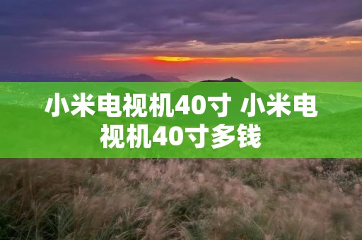 小米电视机40寸 小米电视机40寸多钱 小米电视机40寸 小米电视机40寸多钱
