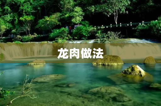 龙肉做法：口感鲜美，独特的食材挑战您的烹饪技巧