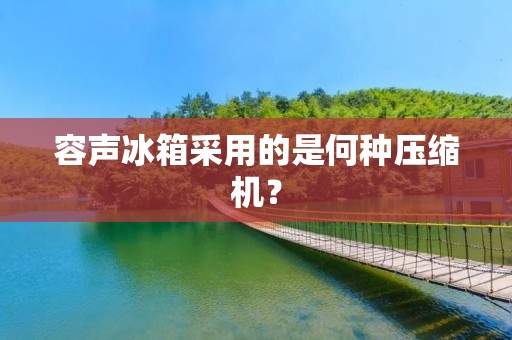 容声冰箱采用的是何种压缩机? 容声冰箱采用的是何种压缩机?