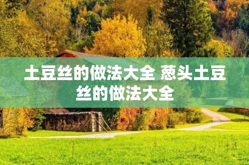 土豆丝的做法大全 葱头土豆丝的做法大全