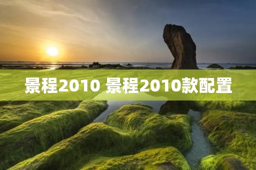 景程2010 景程2010款配置