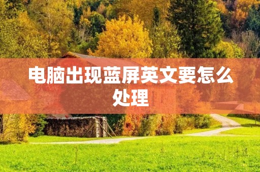 电脑出现蓝屏英文要怎么处理