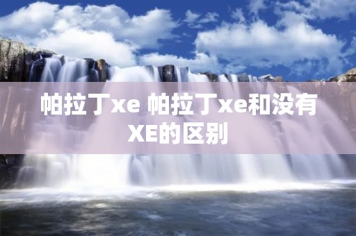 帕拉丁xe 帕拉丁xe和没有XE的区别