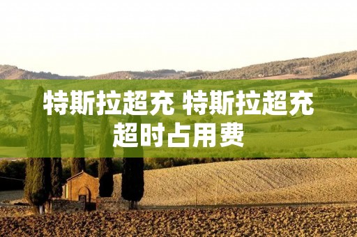 特斯拉超充 特斯拉超充超时占用费