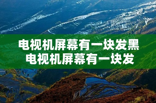 电视机屏幕有一块发黑 电视机屏幕有一块发黑闪动