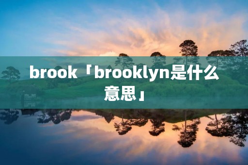 brook「brooklyn是什么意思」