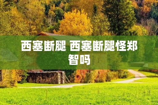 西塞断腿 西塞断腿怪郑智吗