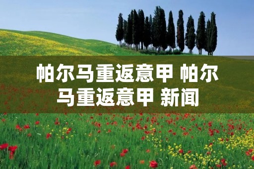 帕尔马重返意甲 帕尔马重返意甲 新闻 帕尔马重返意甲 帕尔马重返意甲 新闻