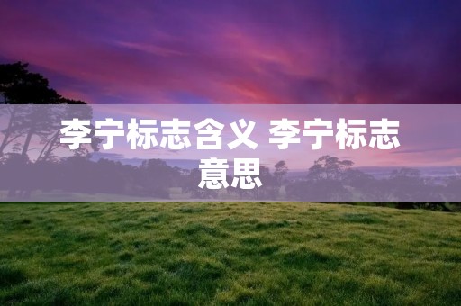 李宁标志含义 李宁标志意思