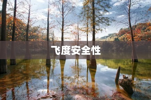 飞度安全性:保障您的行车安全 飞度安全性:保障您的行车安全