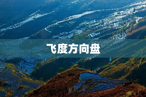 飞度方向盘：驾驶的舒适与操控的完美结合
