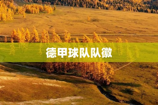 德甲球队队徽:展现球队传承与个性的象征 德甲球队队徽:展现球队传承与个性的象征