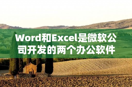 Word和Excel是微软公司开发的两个办公软件,它们在功能和用途上有着明显的区别。Word是一款文字处理软件,主要用于创建、编辑和格式化文档;而Excel是一款电子表格软件,主要用于数据分析和处理。下面将详细介绍它们的区别。