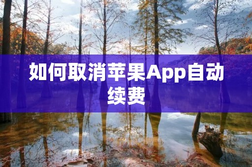 如何取消苹果App自动续费