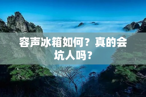 容声冰箱如何?真的会坑人吗?