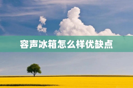 容声冰箱怎么样优缺点 容声冰箱怎么样优缺点
