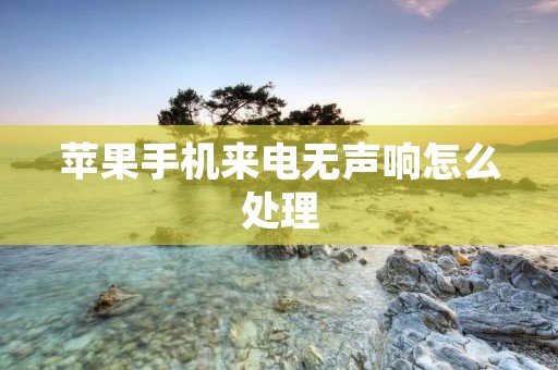 苹果手机来电无声响怎么处理