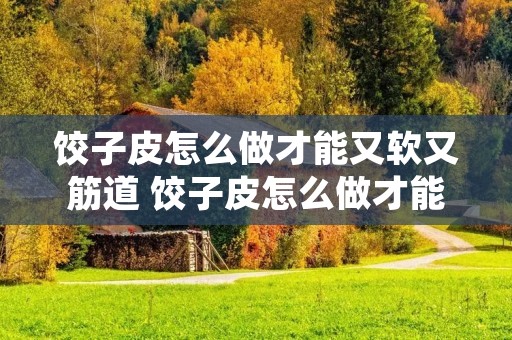 饺子皮怎么做才能又软又筋道 饺子皮怎么做才能又软又筋道不破皮
