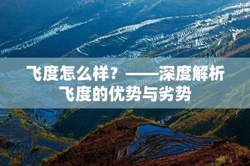 飞度怎么样？——深度解析飞度的优势与劣势