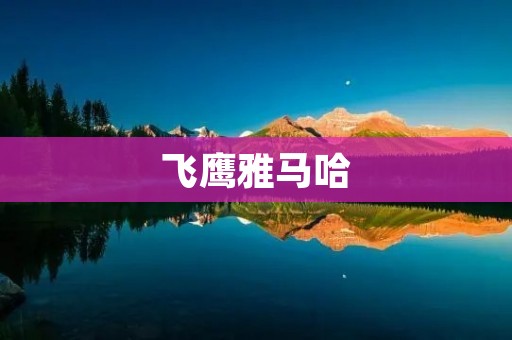 飞鹰雅马哈：独一无二的速度与**