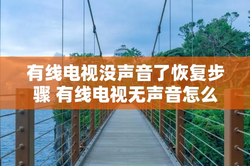 有线电视没声音了恢复步骤 有线电视无声音怎么解决