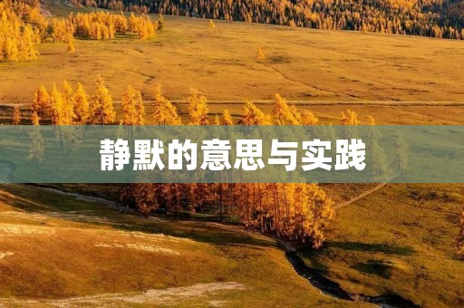 静默的意思与实践