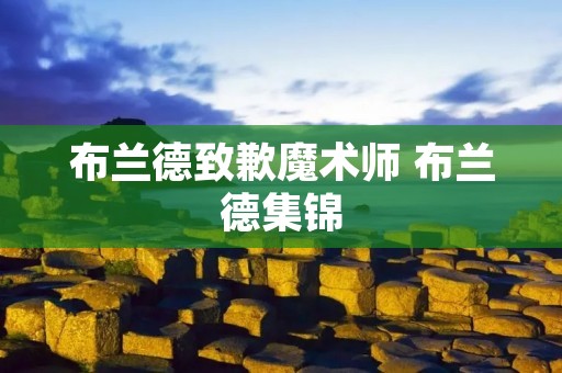 布兰德致歉魔术师 布兰德集锦