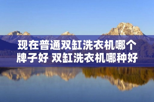 现在普通双缸洗衣机哪个牌子好 双缸洗衣机哪种好 现在普通双缸洗衣机哪个牌子好 双缸洗衣机哪种好