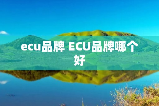 ecu品牌 ECU品牌哪个好 ecu品牌 ECU品牌哪个好