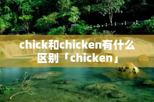 chick和chicken有什么区别「chicken」