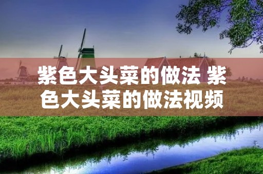 紫色大头菜的做法 紫色大头菜的做法视频 紫色大头菜的做法 紫色大头菜的做法视频