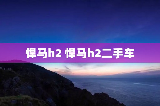 悍马h2 悍马h2二手车
