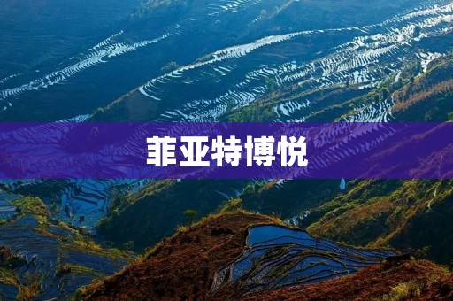 菲亚特博悦:豪华与**的完美结合 菲亚特博悦:豪华与**的完美结合