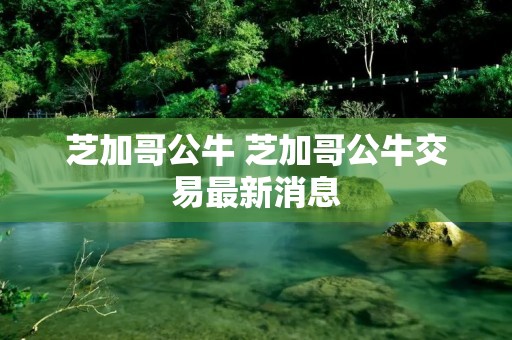 芝加哥公牛 芝加哥公牛交易最新消息 芝加哥公牛 芝加哥公牛交易最新消息
