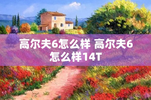 高尔夫6怎么样 高尔夫6怎么样14T