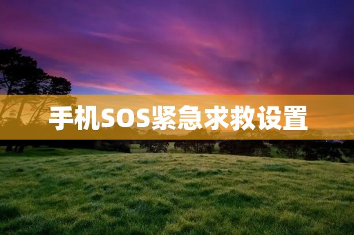 手机SOS紧急求救设置:保护你的安全
