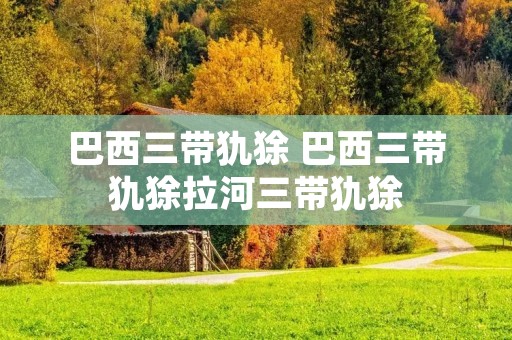 巴西三带犰狳 巴西三带犰狳拉河三带犰狳 巴西三带犰狳 巴西三带犰狳拉河三带犰狳