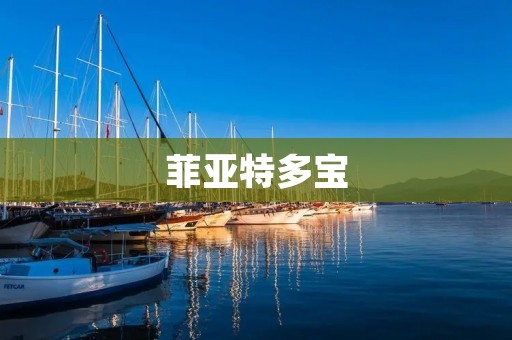 菲亚特多宝：时尚与实用的完美结合