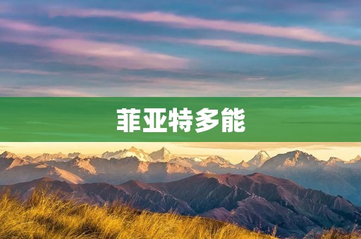 菲亚特多能:一款卓越的汽车品牌 菲亚特多能:一款卓越的汽车品牌