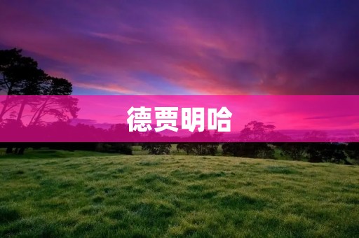 德贾明哈：探索新世界的奇幻之旅