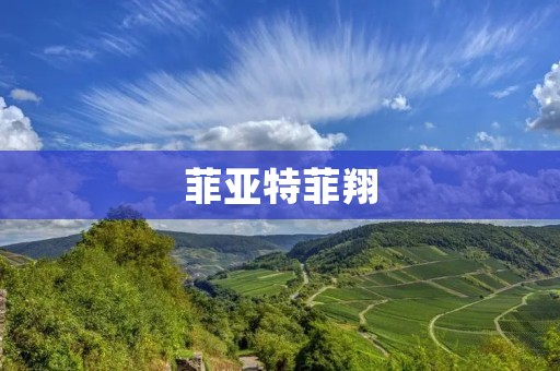 菲亚特菲翔：引领时尚潮流的家轿之选