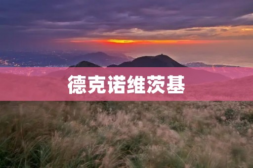 德克诺维茨基：传奇篮球巨星的不朽传奇