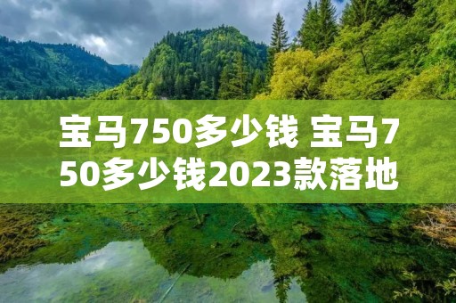 宝马750多少钱 宝马750多少钱2023款落地价