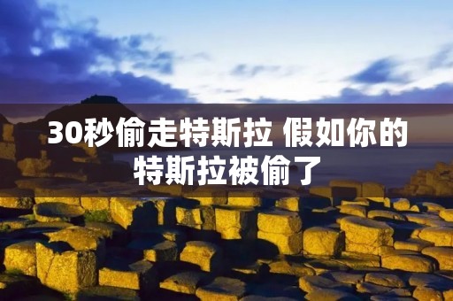30秒偷走特斯拉 假如你的特斯拉被偷了 30秒偷走特斯拉 假如你的特斯拉被偷了