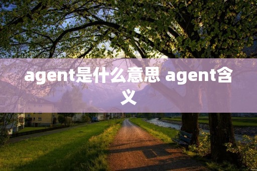 agent是什么意思 agent含义
