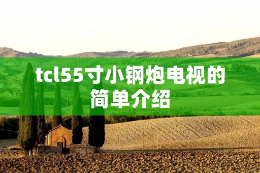tcl55寸小钢炮电视的简单介绍