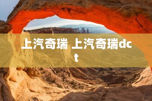 上汽奇瑞 上汽奇瑞dct