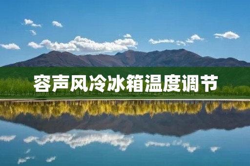 容声风冷冰箱温度调节：保鲜妙招
